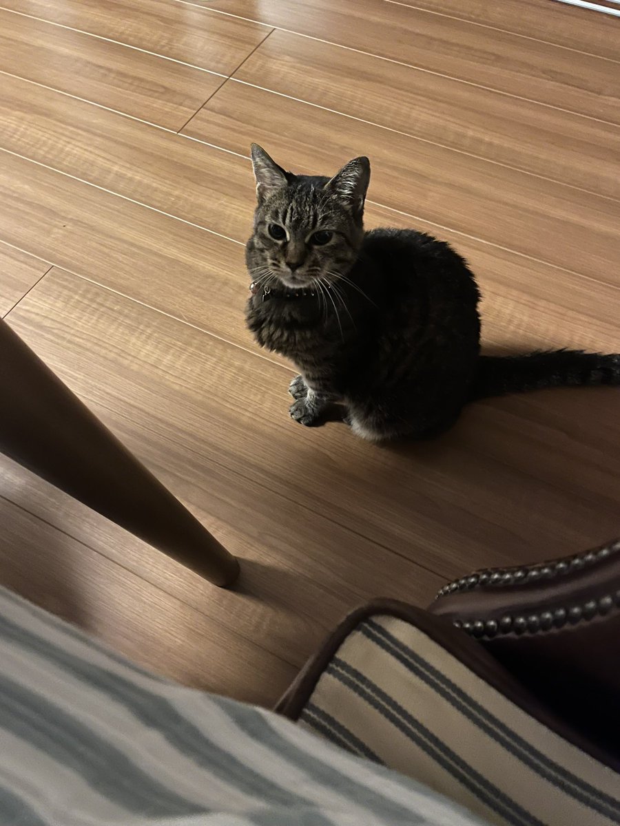 ららときき時々いろは tweet media