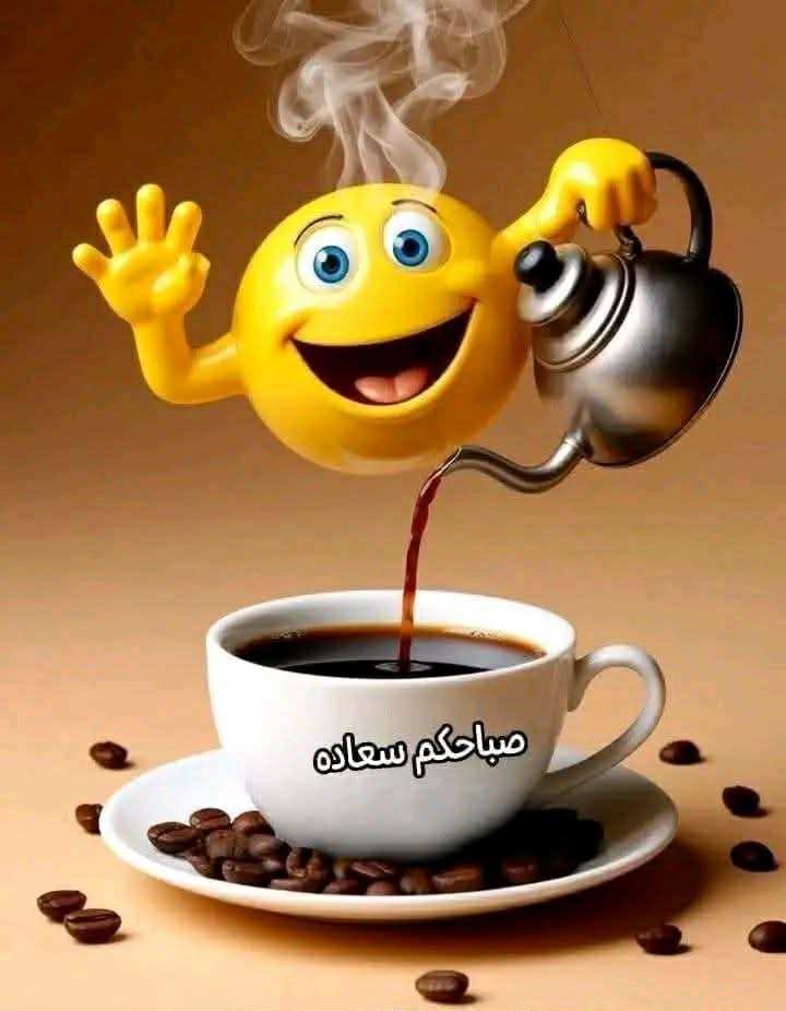 الدبلوماسية tweet media