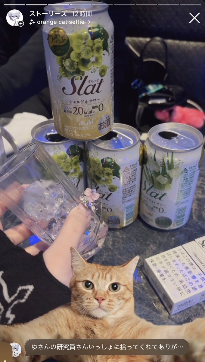 しのたま。DM送れないし入ってきません😿😿 tweet media