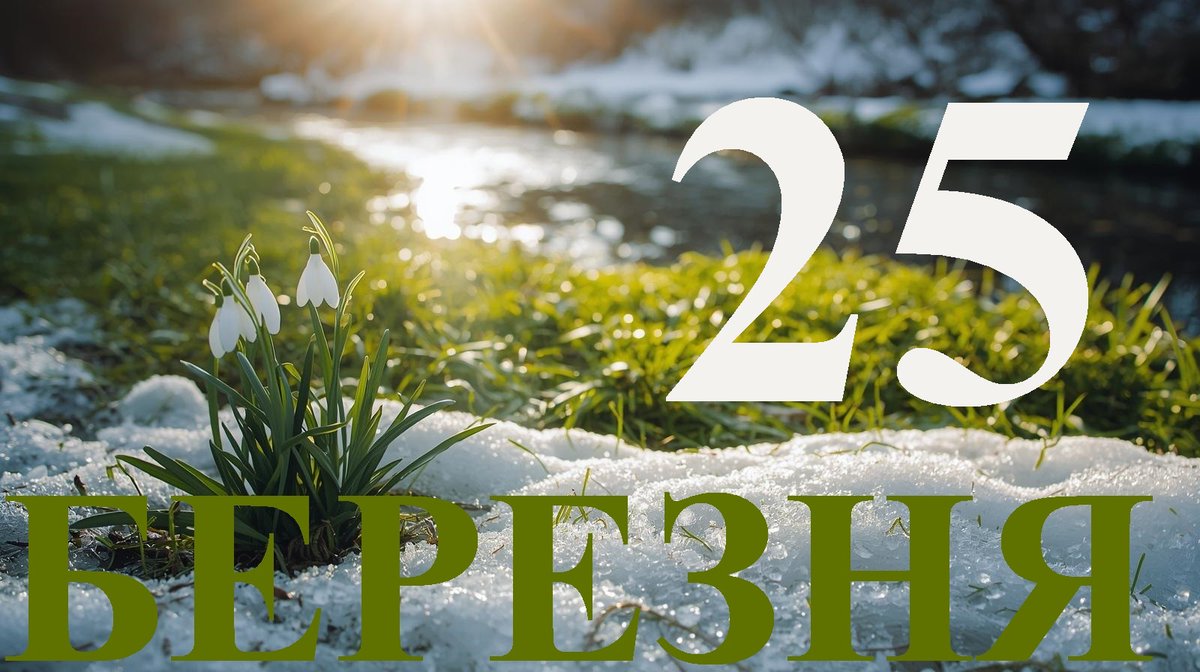 Об'єктив-новини Харків 🇺🇦 tweet media