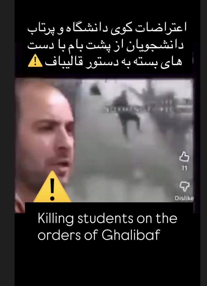 Persian Lion tweet media