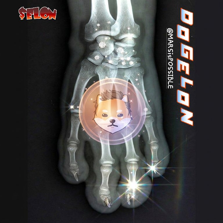 DOGELON MEME LORD tweet media