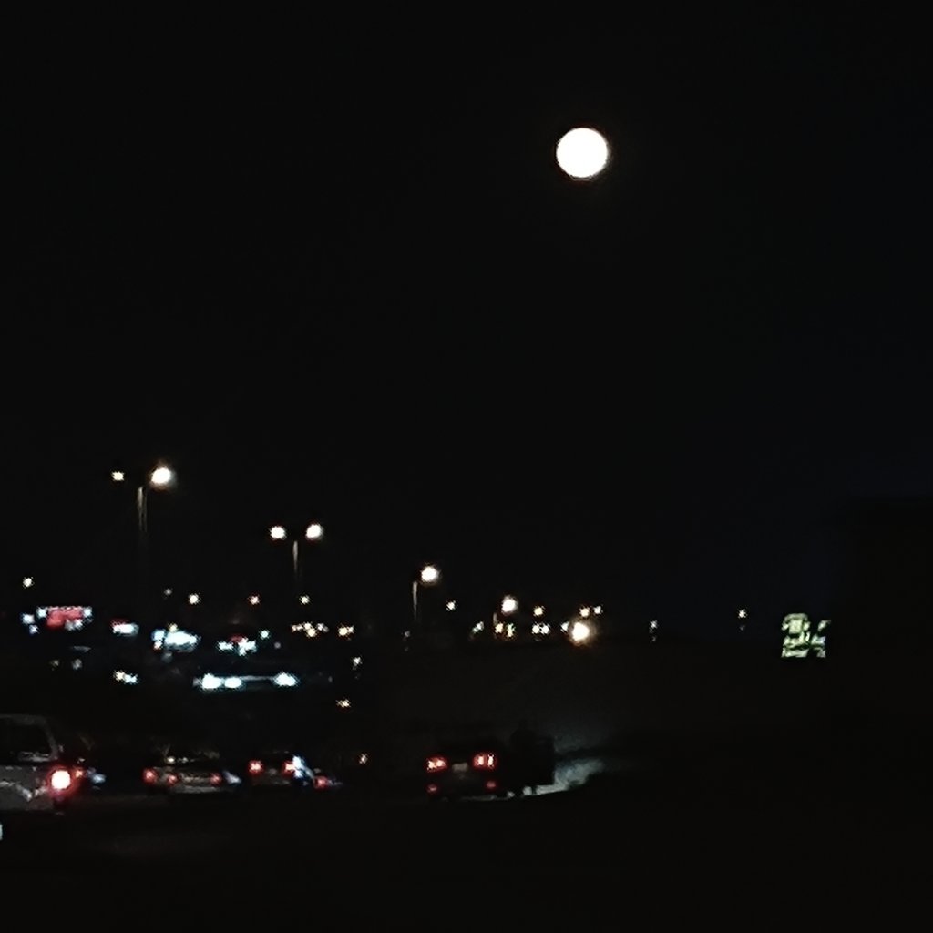 𝚊𝚕𝚎𝚡𝚒𝚜 ❦ tweet media