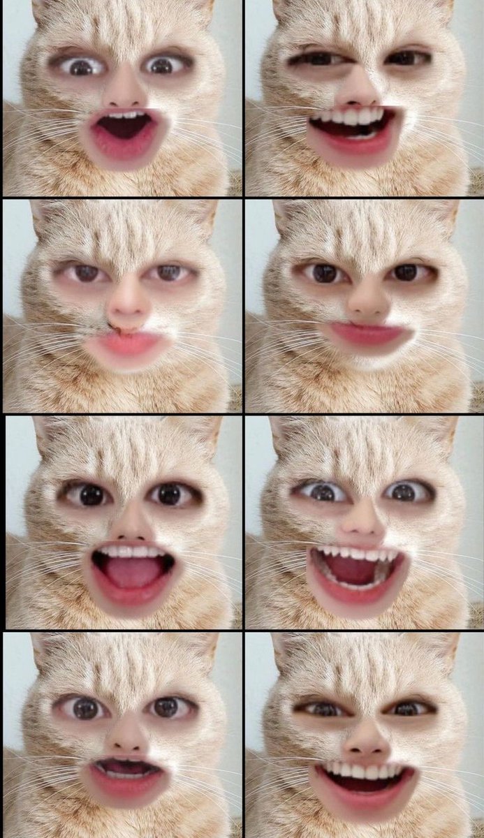 RACHANIL0G's tweet photo. Durante la era de Noeasy Minho siempre mandaba fotos con filtros en bubble y una vez mando fotos ot8 en dónde todos tenían filtro de gato JQKENSKSNWN https://t.co/6U0u0h6WZW