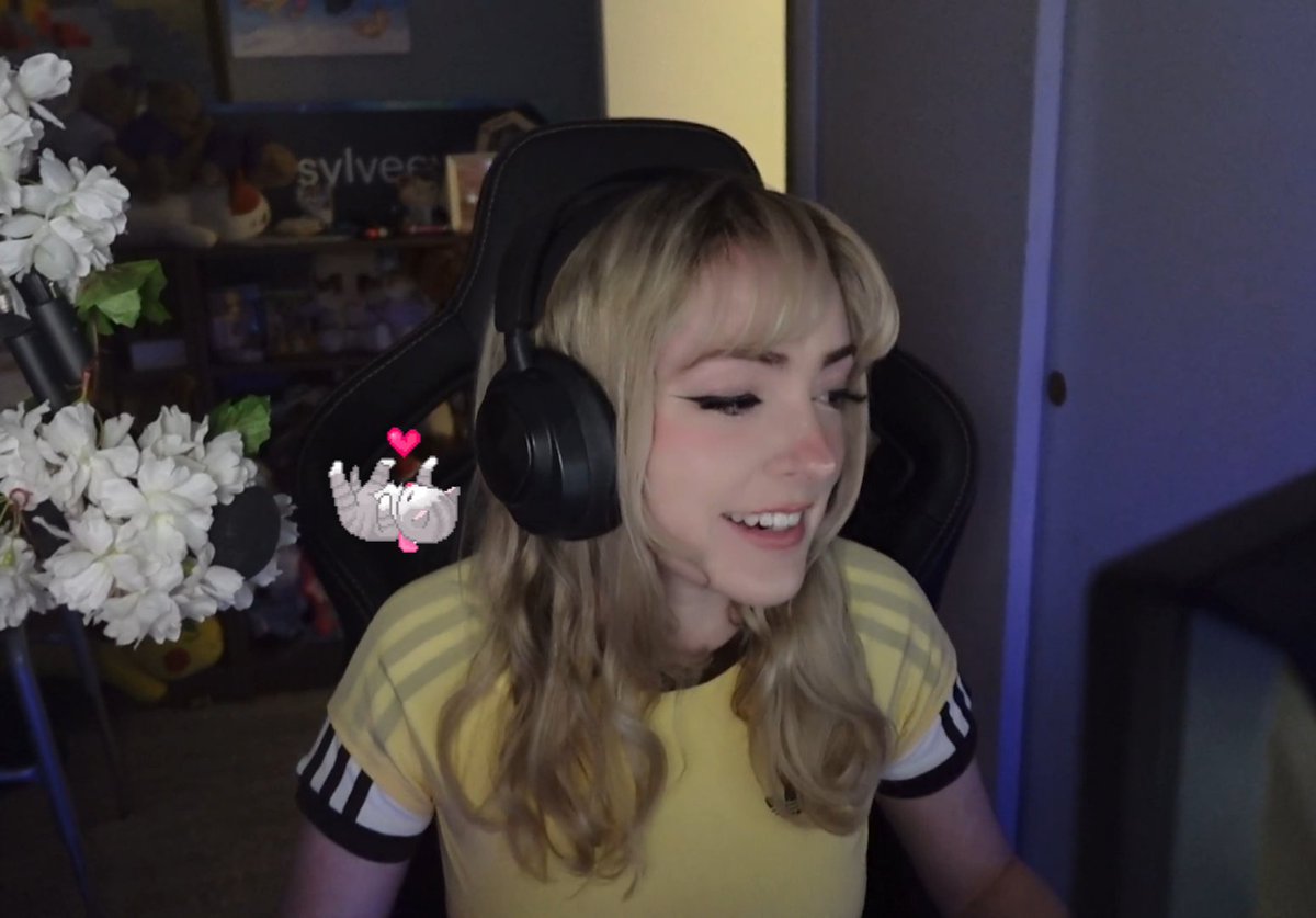 Sylvee Updates! tweet media