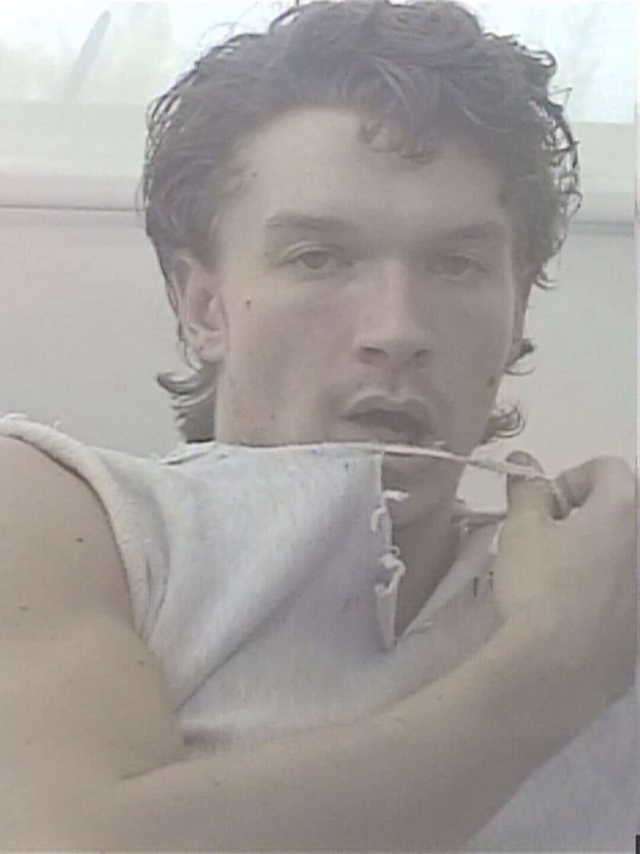 Team Connor Storrie tweet media