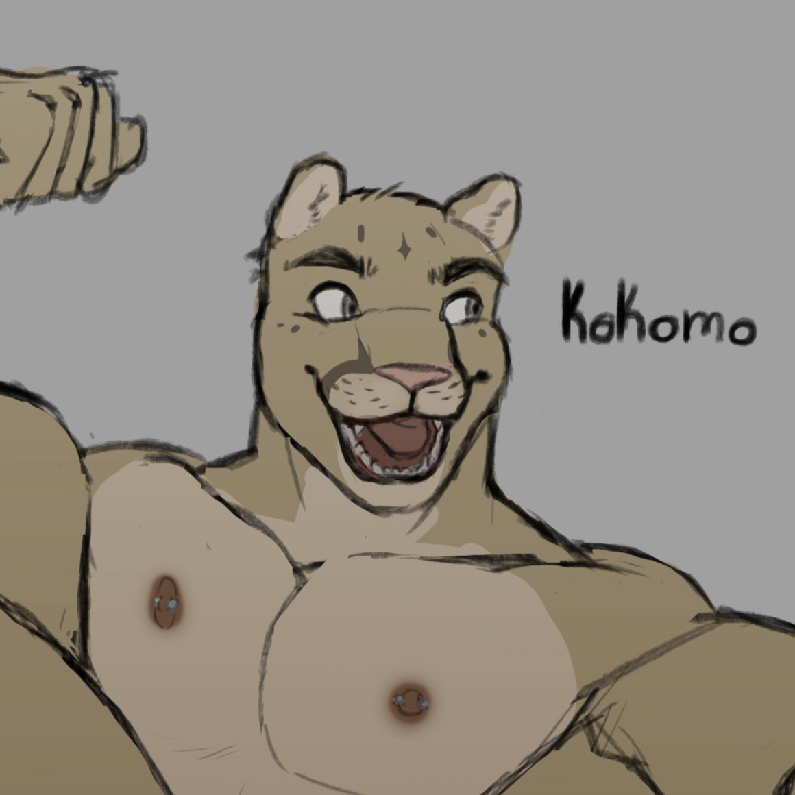 Kokomo tweet media
