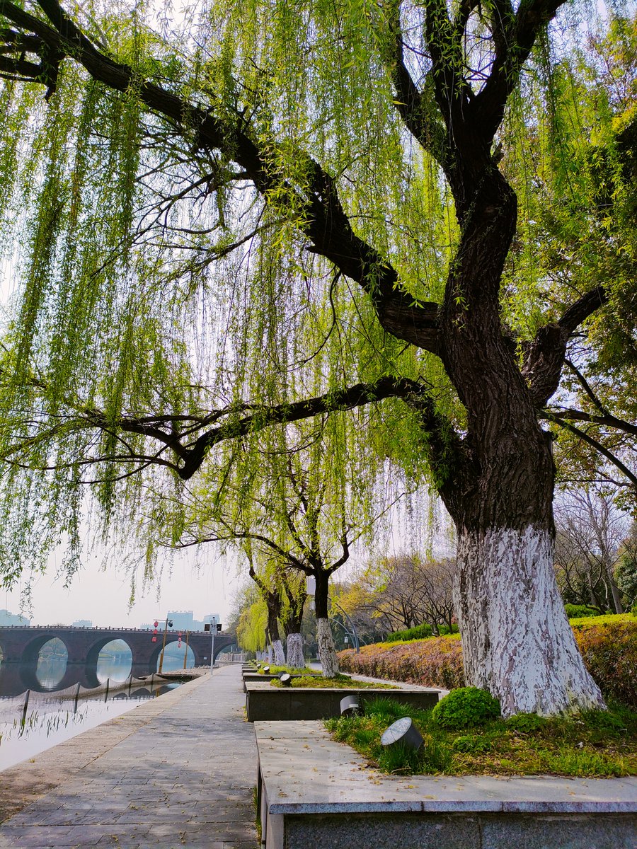 夏沫（互fo必回） tweet media