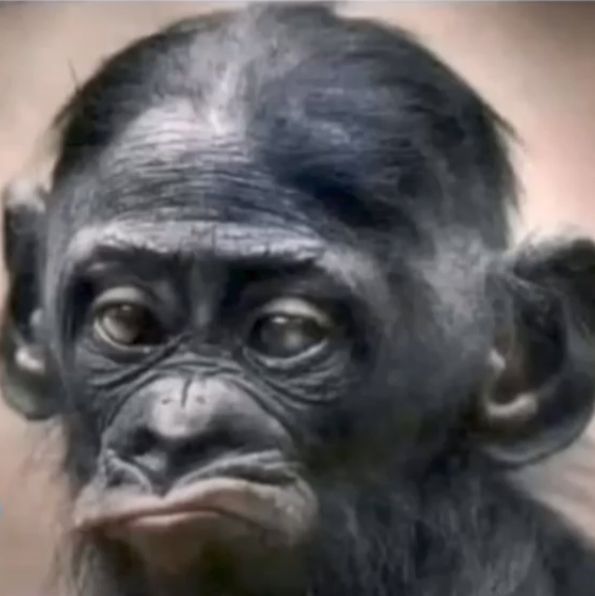 ‏﮼رند🎶 tweet media