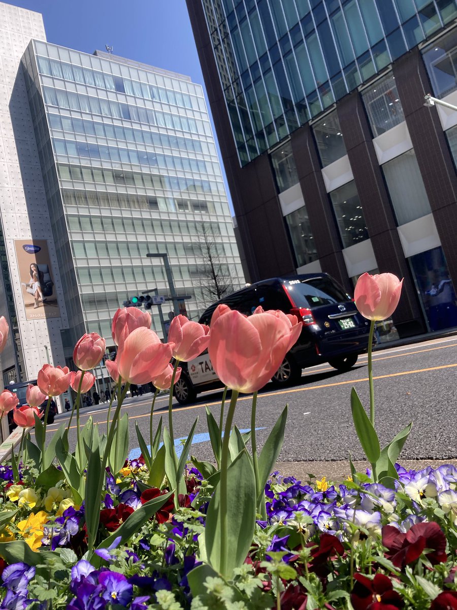 月子【日曜日の午後】 tweet media