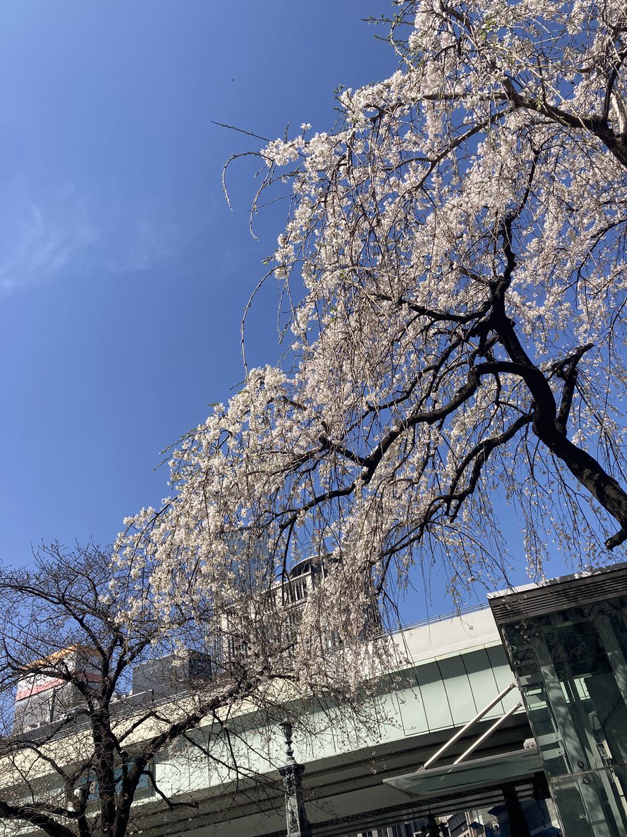 月子【日曜日の午後】 tweet media