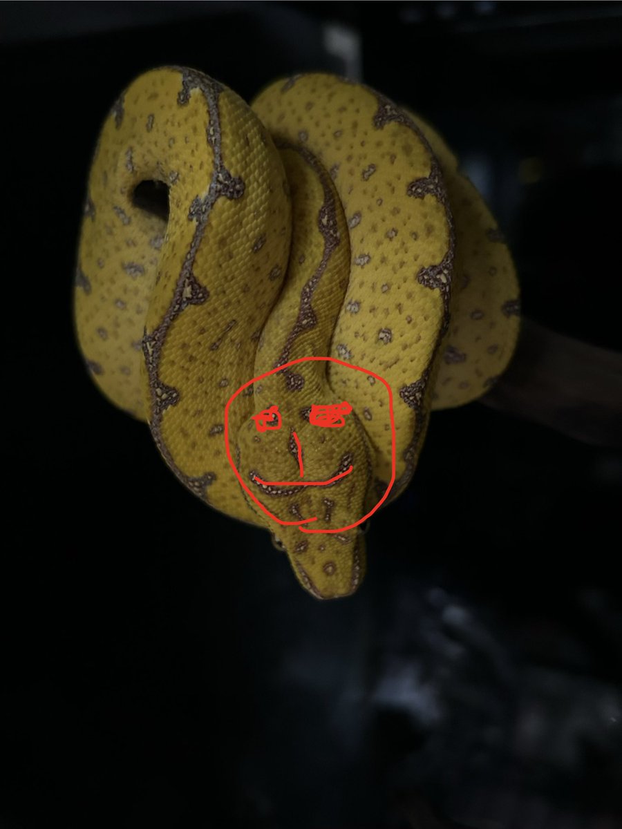 こいつのここふざけてる