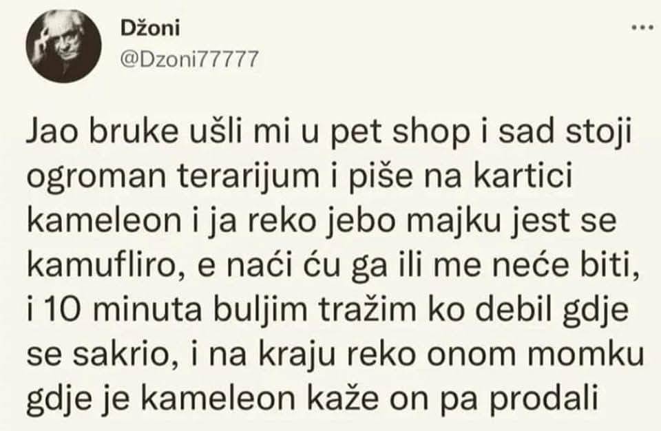 RotkvaStrugana tweet media