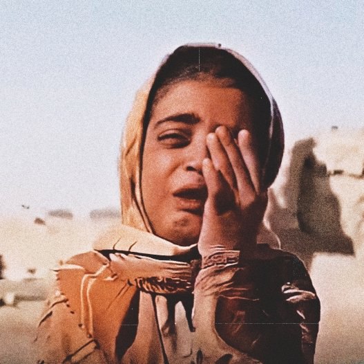 DamDam 🇮🇷 tweet media