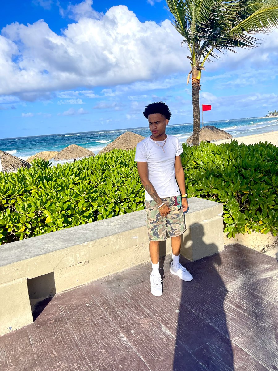 T1 ⚰️ tweet media