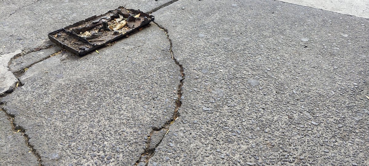 Chany Estrada tweet media