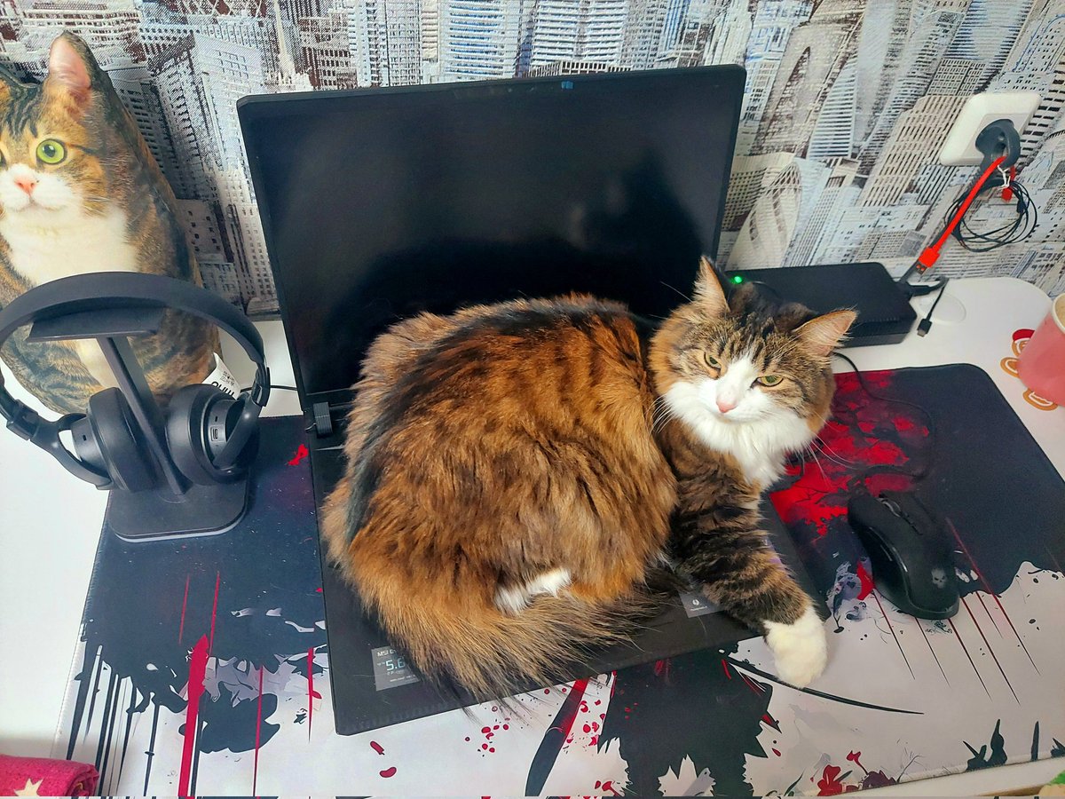 BlackDron80 tweet media