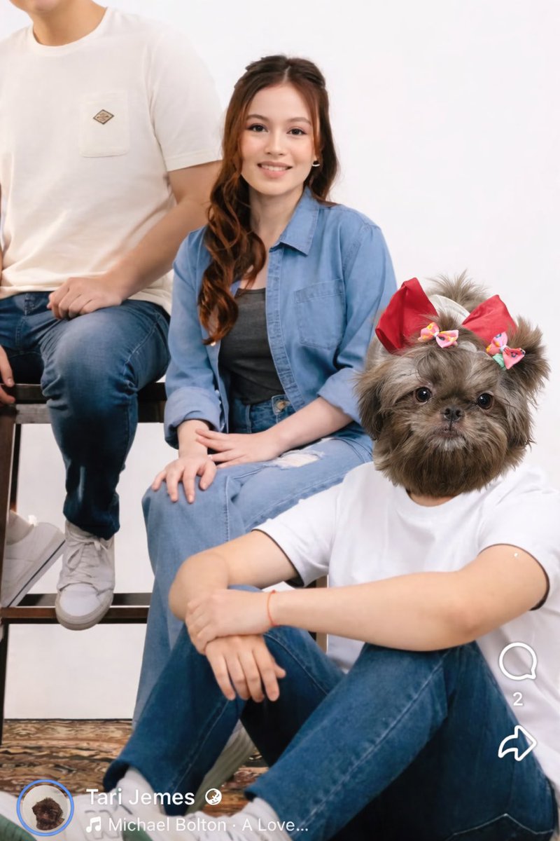 Duskg_'s tweet image. New post? Krystal with Tari na newly groomed

Ito pang bawi mo HAHAHAHA 
@krystamejesz 

Follow nyo si Tari sa blue app guys
#KrystalMejes 
#MiguelVergara