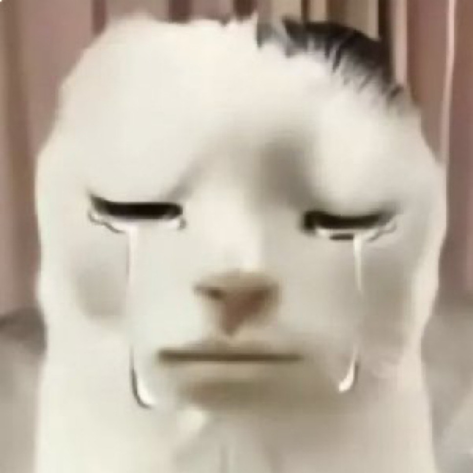 ゆっくりまりさ tweet media