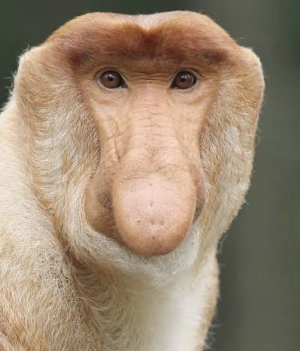 Thuso van Zyl 🇿🇦 tweet media