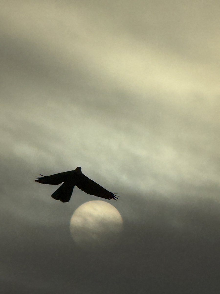 عبود🪽0.2 tweet media