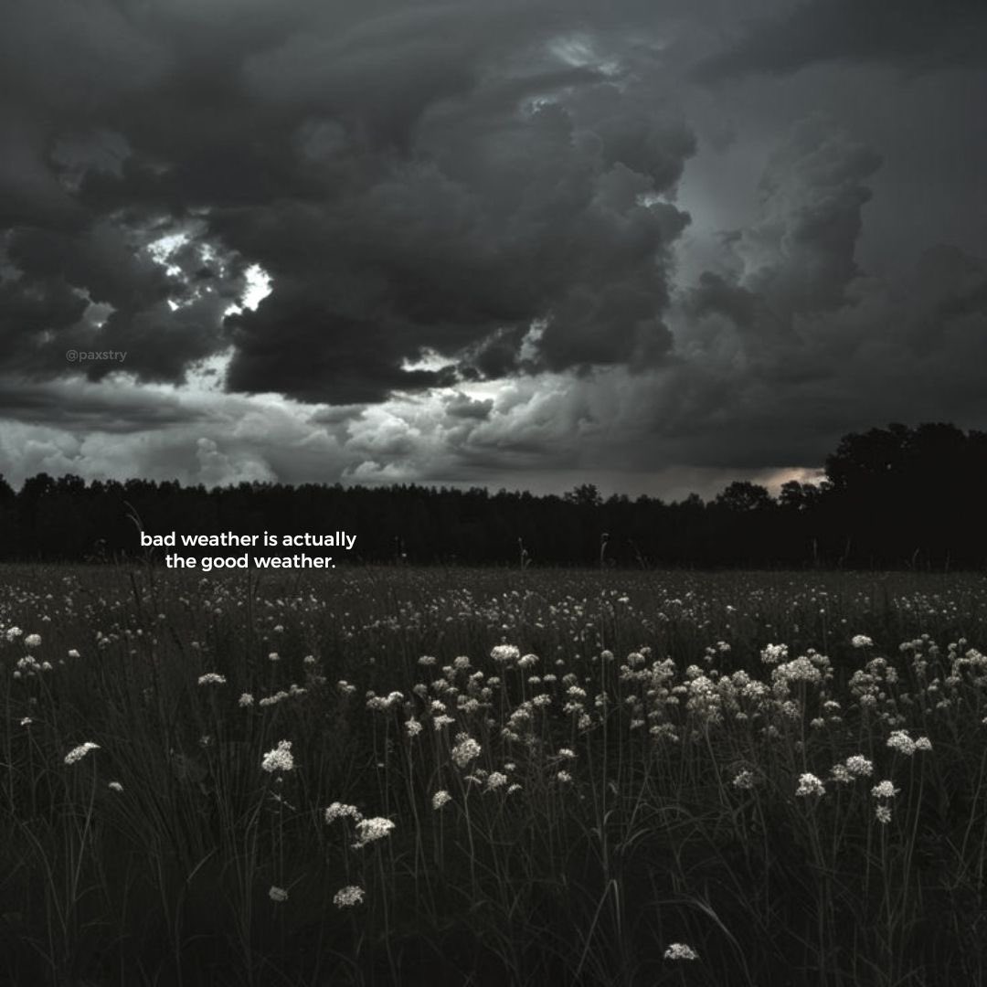 👻 𝘯𝑎𝘵𝑢𝘳𝑒 👻 tweet media