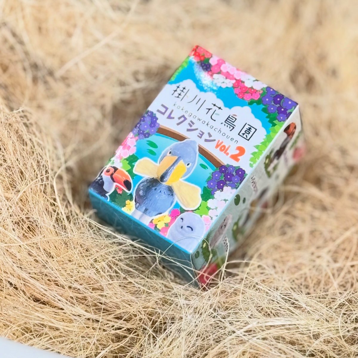 掛川花鳥園の人気者たちが ブラインドフィギュアに🐦✨ 思わずクスッと