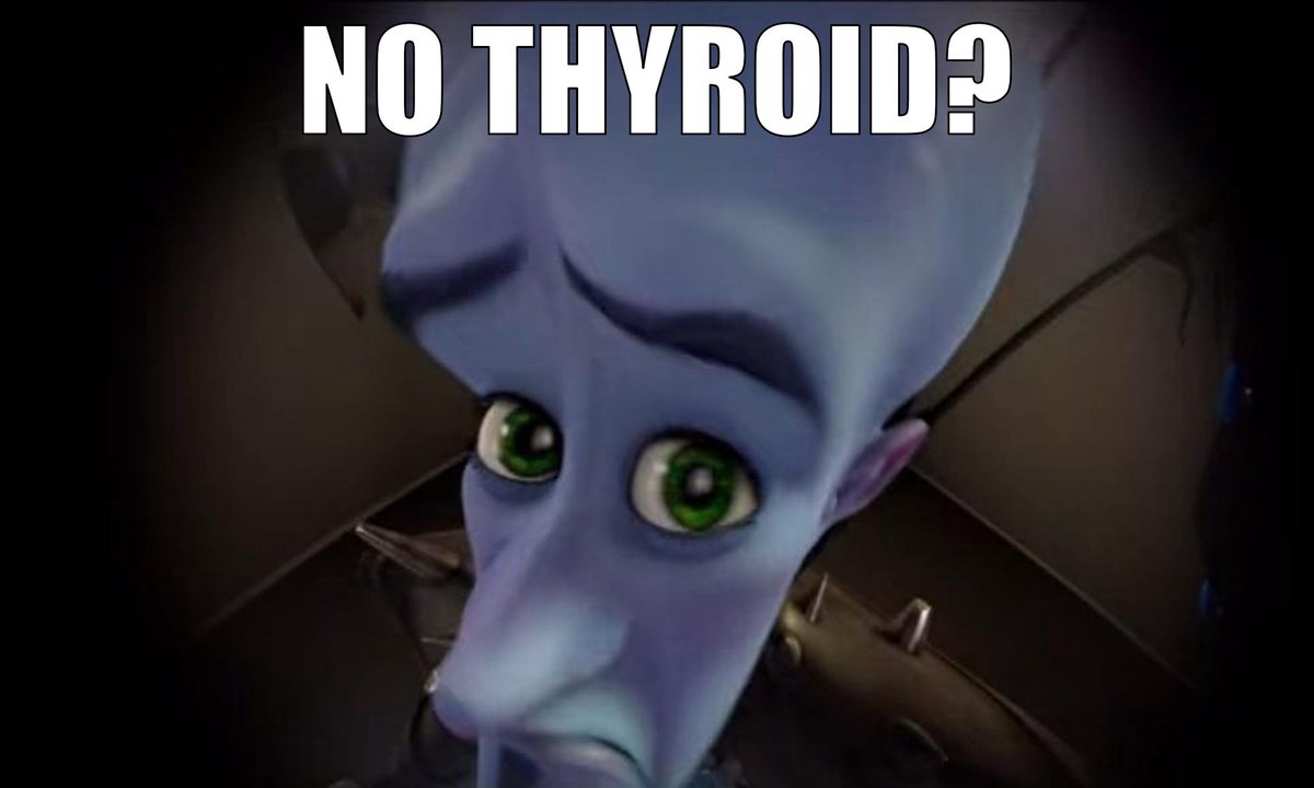 Sylent Bell 💎⛓️ tweet media