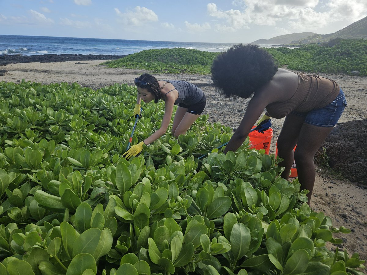 808cleanups tweet media