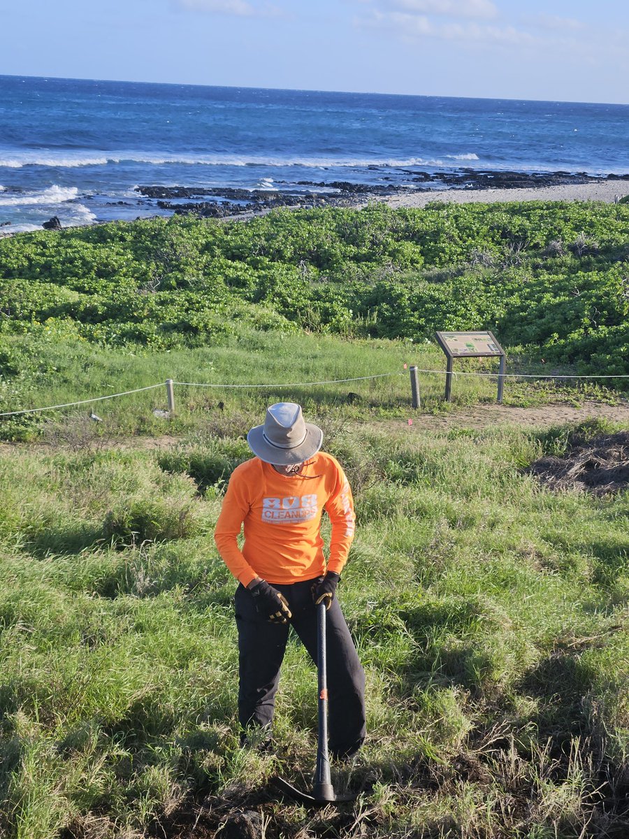 808cleanups tweet media