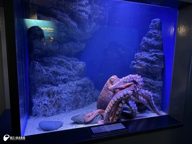 Nishigai tweet media