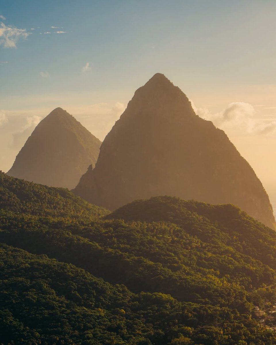 Tôsen ⭐⭐⭐ tweet media