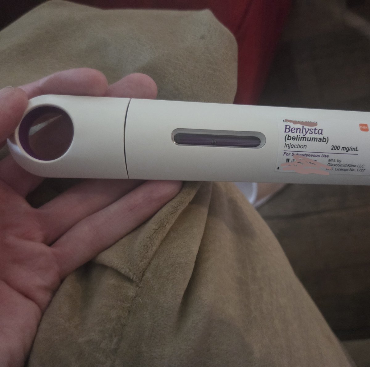 🦠🌸Shoko SLUG VTUBER𖦹 ̫ 𖦹蛞蝓 硝子 |slugmunculus tweet media