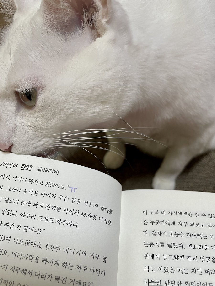 aha_whale's tweet photo. 티친들🥺 제가 돌아왔어요 마감 일정과 회사 일정으로 아주아주 바쁘게 살고 있지만 이렇게 교환독서도 한답니다
⬇️집안에 들어온 새 물건 검열하는 도도 https://t.co/TXghQXUfh5