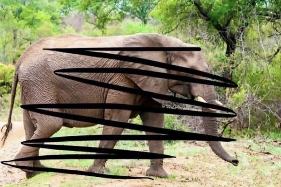 ℂ𝕣𝕪𝕡𝕥𝕠𝔼𝕞𝕡𝕣𝕖𝕤𝕤🤍 tweet media