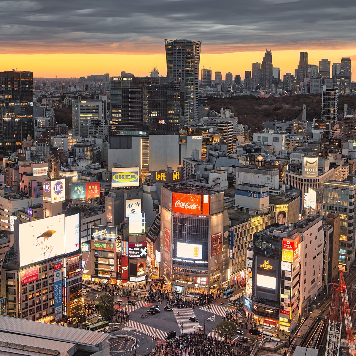 翡翠亭🐚荒烏伝 tweet media