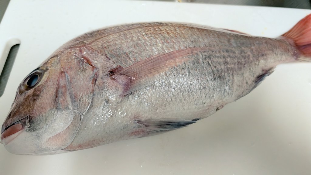 🍋ア∞イ🍋 tweet media