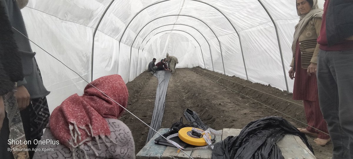 Working with farmers is my joy,,,