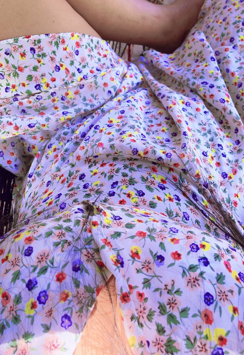 🌻🤍 tweet media