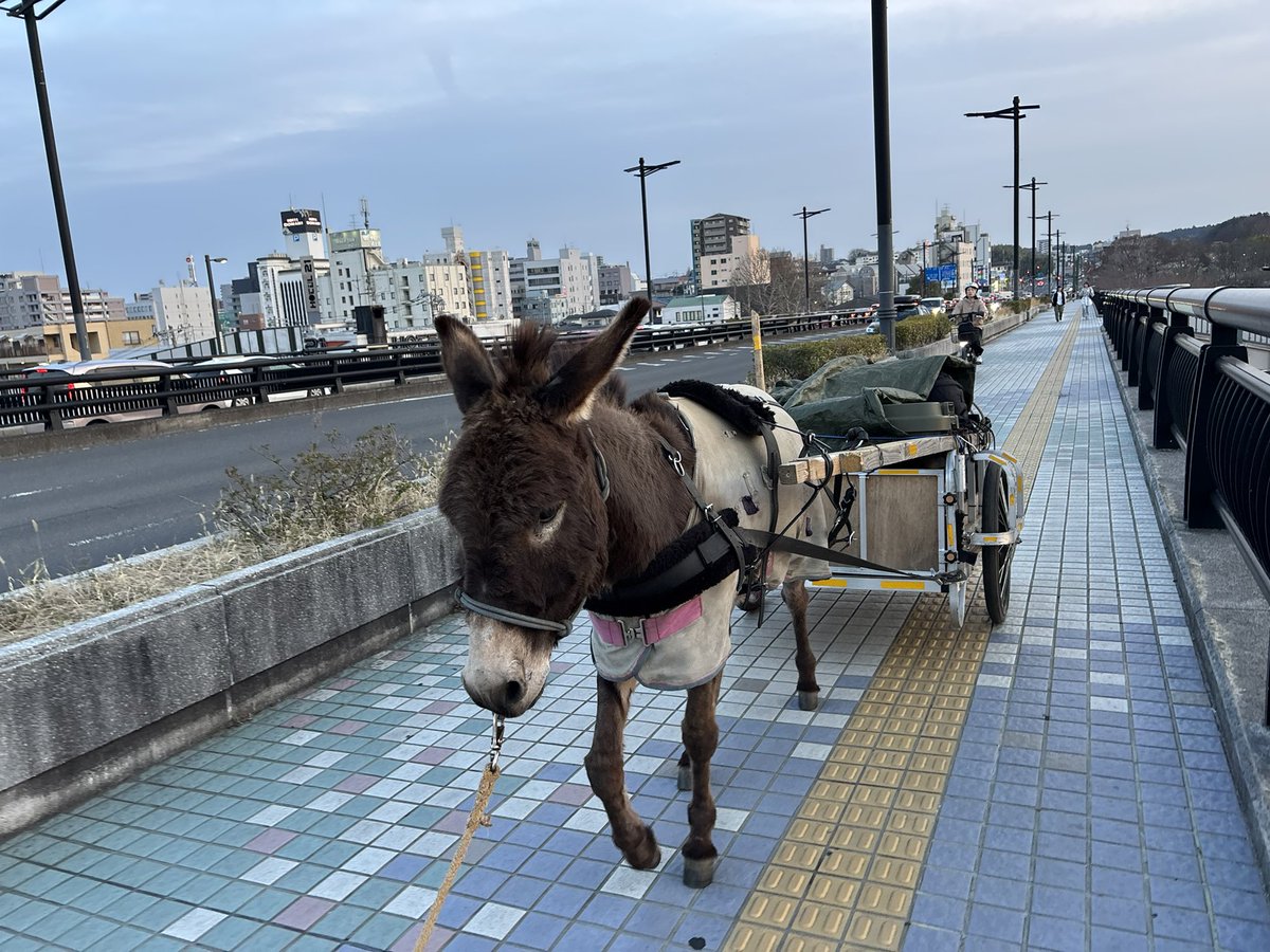 水戸のど真ん中をまかり通る。