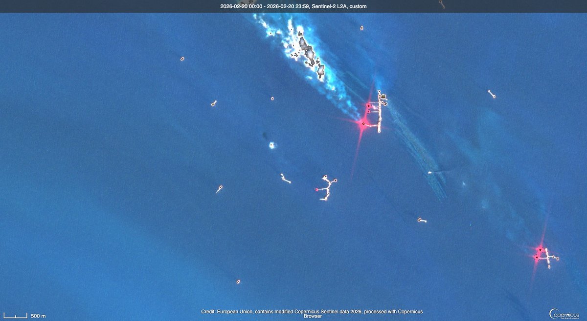 Pandita rojo 🐳 tweet media