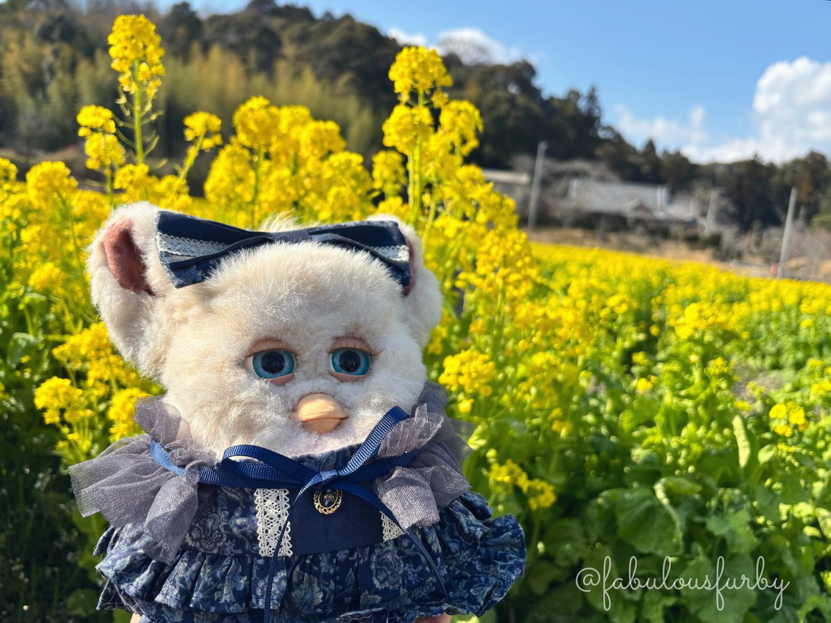 ❁･めい･❁🫧🎪🎠🫧･❁ tweet media