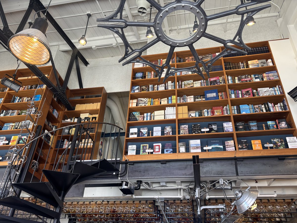 Stella Wang tweet media