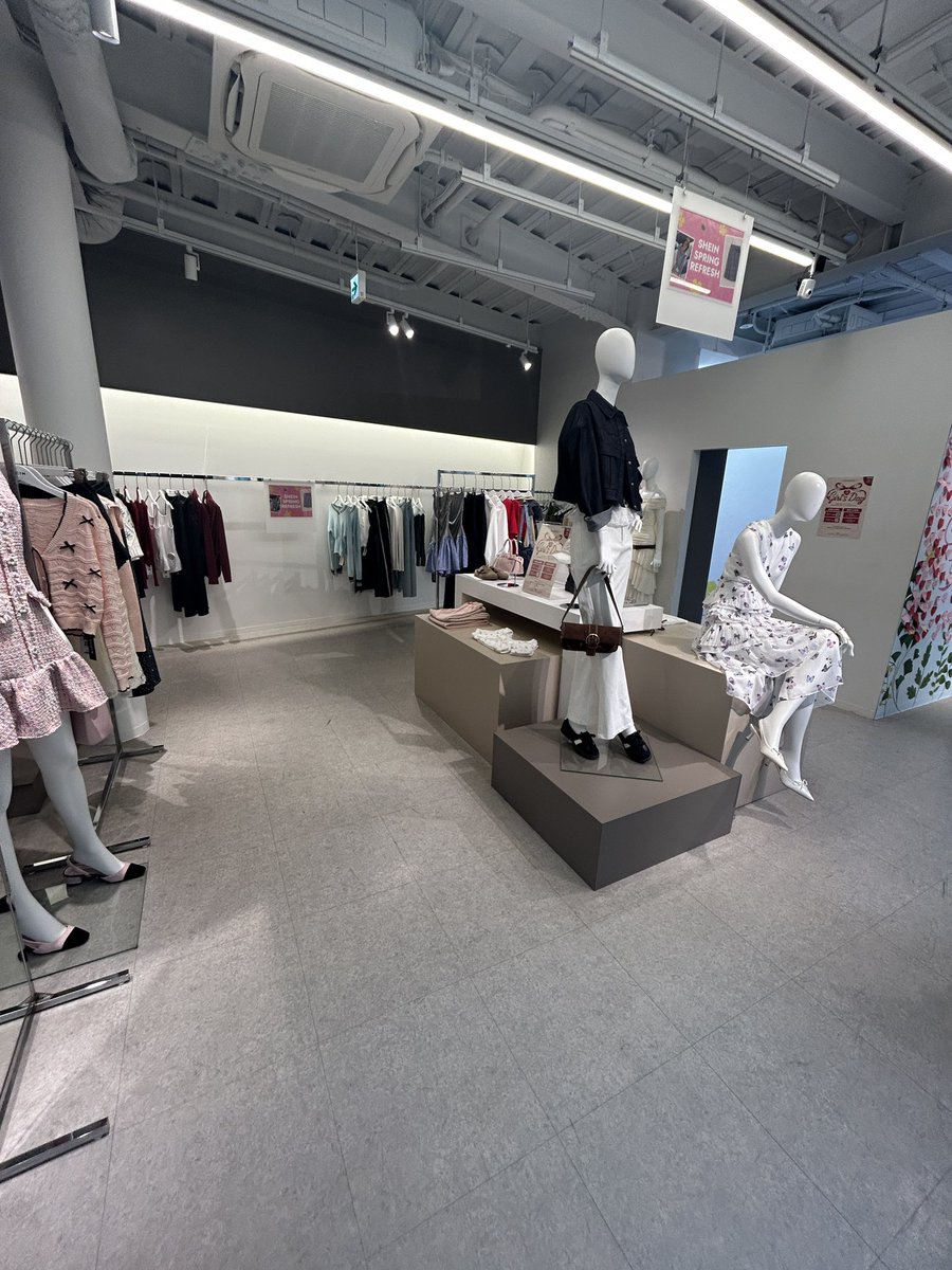 平地のハムスター2 tweet media