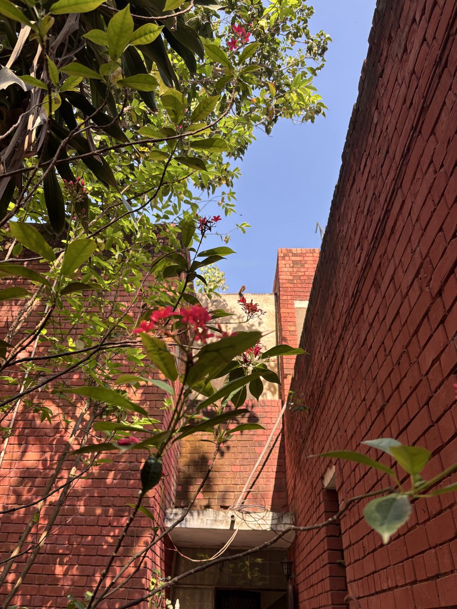 Professor Bindu Puri tweet media