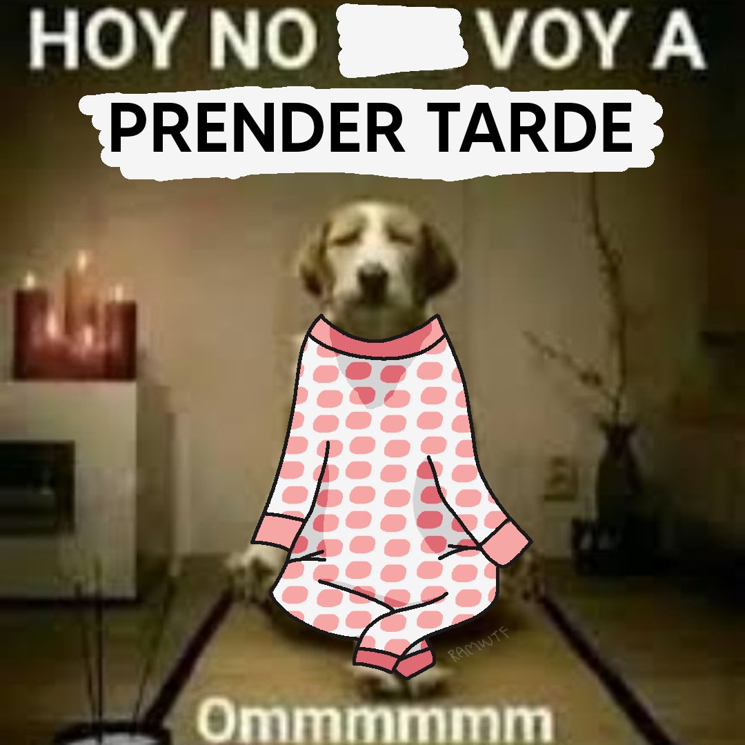 ramWTF_'s tweet photo. https://t.co/G2j49Gyu8R
YA PRENDIO EL PINCHE PERRO 🔥
ALGO TEMPRANO - SEGUIMOS EL BULLY 👀 https://t.co/pi2ff6uPdz