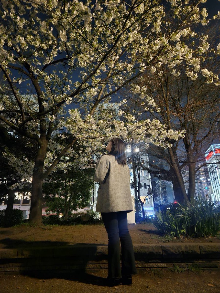 おはようございます^^

昨日うえの桜まつりに行ってきました！
地元秋田の横手やきそばを
見つけれたのと、綺麗な桜も沢山見れて
最高でした〜☺️

かなりさん<a href="/KanariUo/">かなり(うお かなり)</a> からすごく綺麗に撮っていただきました(*^^*)