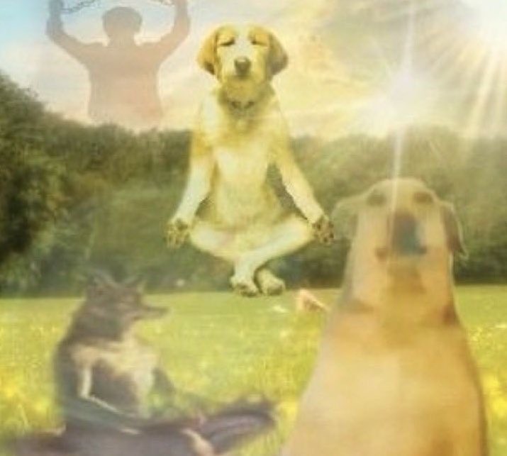 ช ิholic (ชิเอย) tweet media