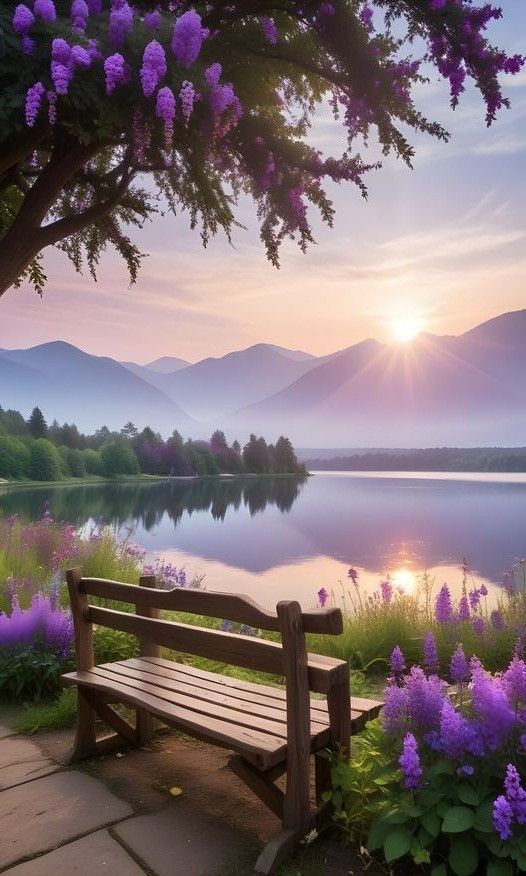 Daisy🌼🌼 tweet media