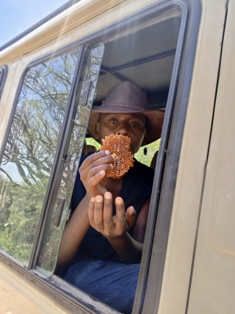 Classickizito tweet media